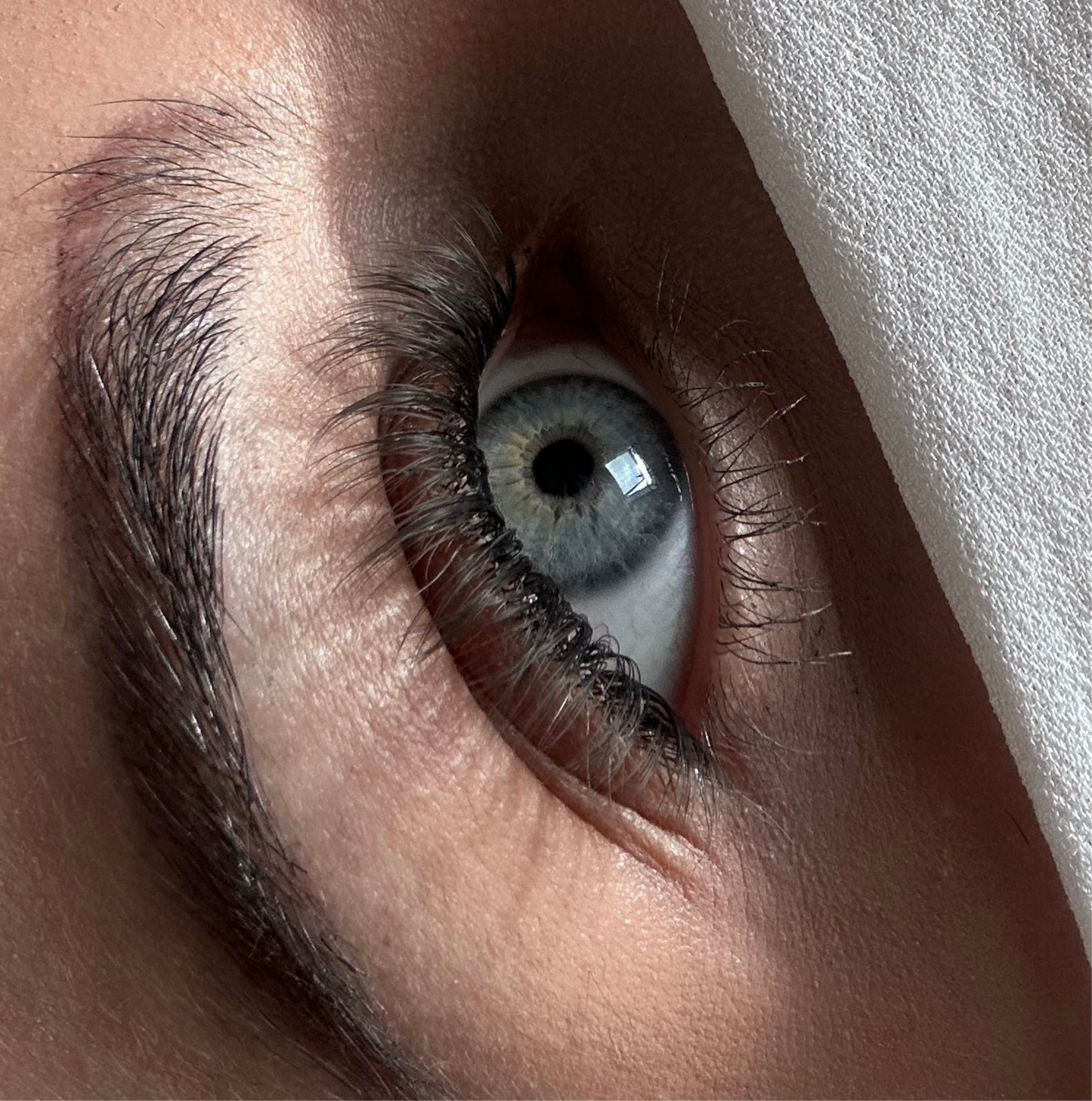 LASHES