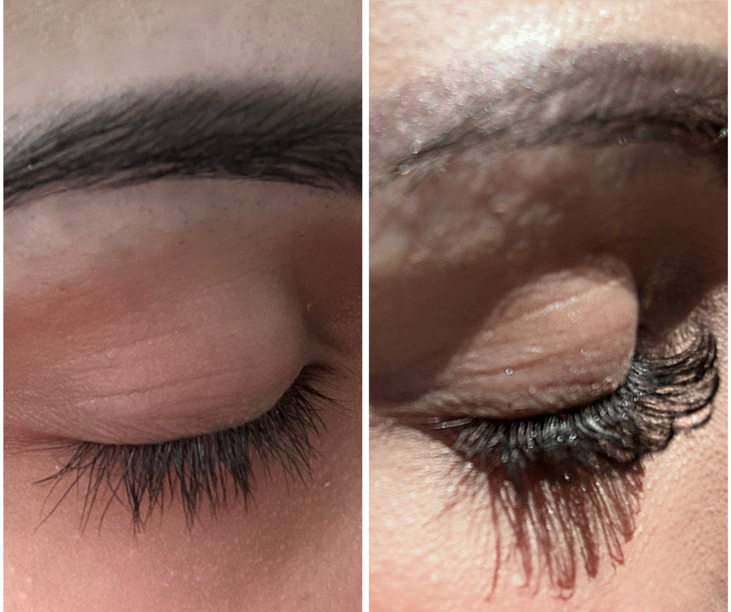 LASHES
