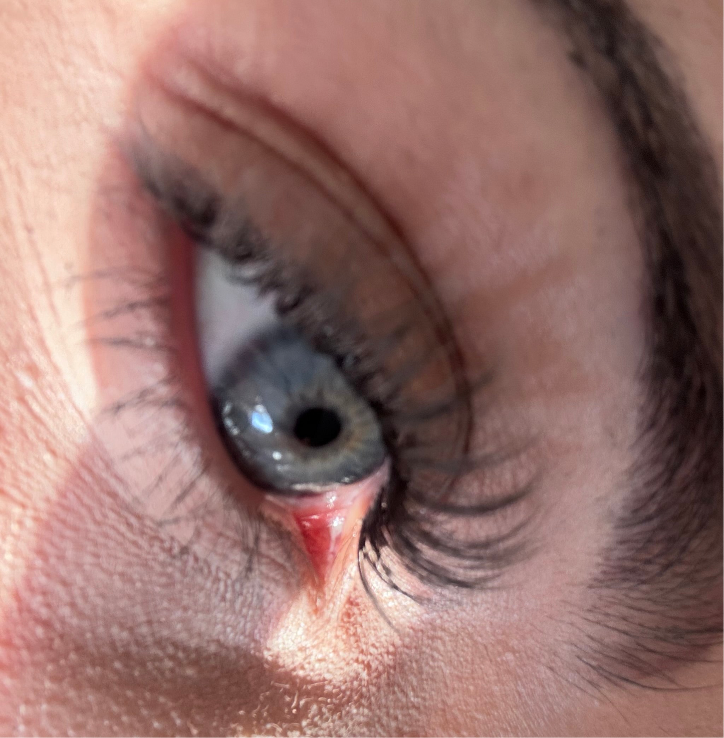 LASHES
