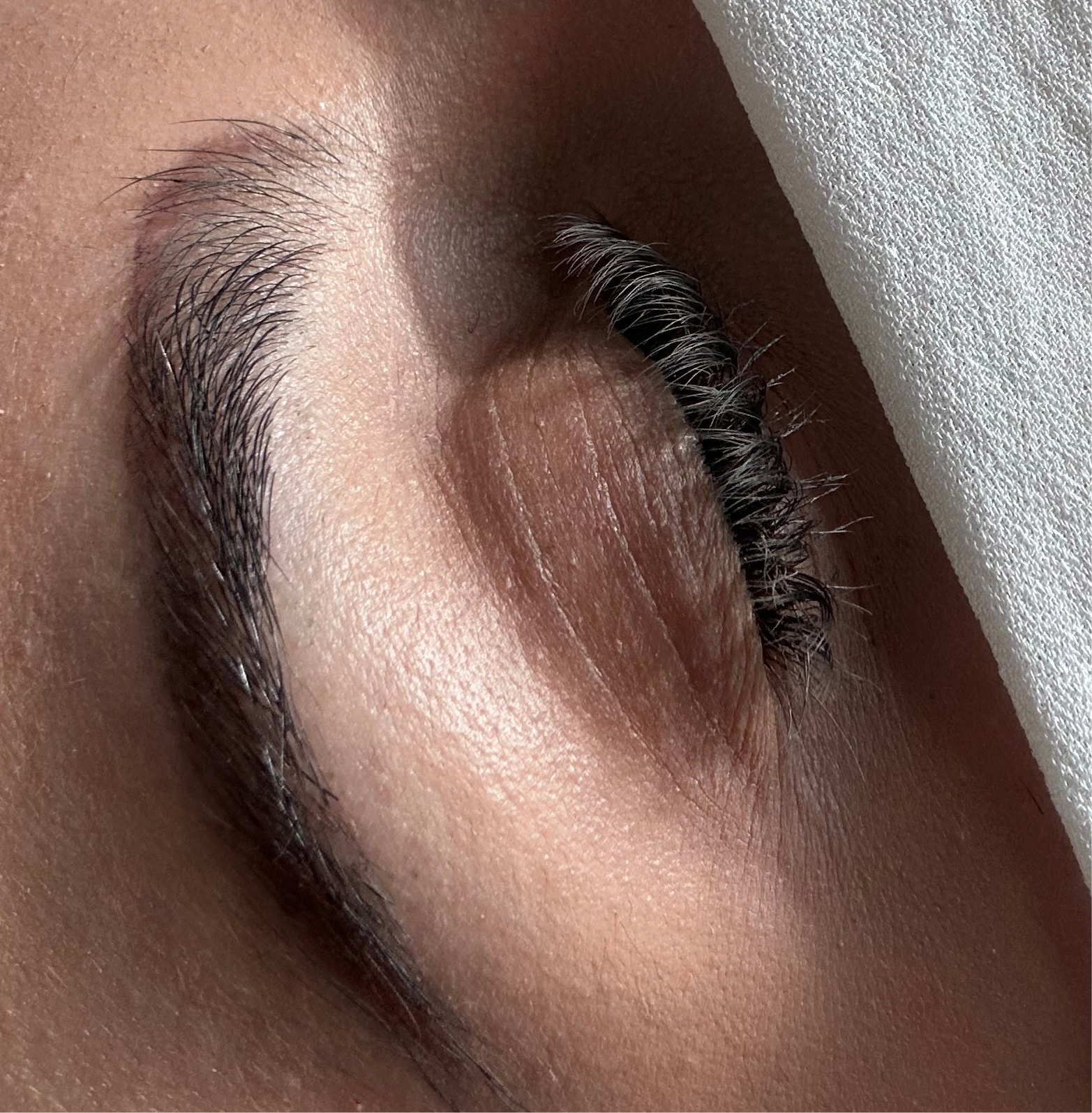 LASHES
